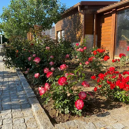 Des Sablons Apartment Chatillon-sur-Marne