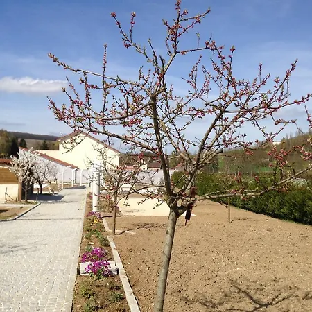 Des Sablons * Chatillon-sur-Marne